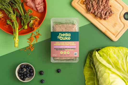 Bella & Duke Puppy Complete Turkey 500g