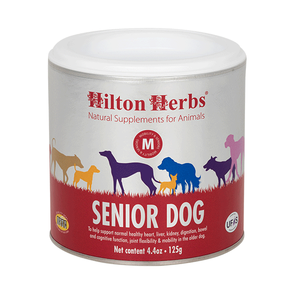 Hilton Herbs Senior Dog