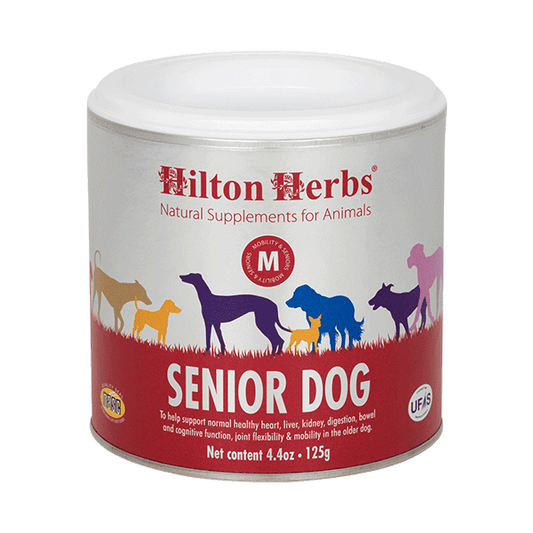 Hilton Herbs Senior Dog