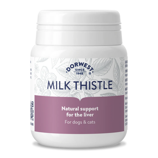 Dorwest - Milk Thistle