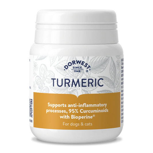 Dorwest - Turmeric