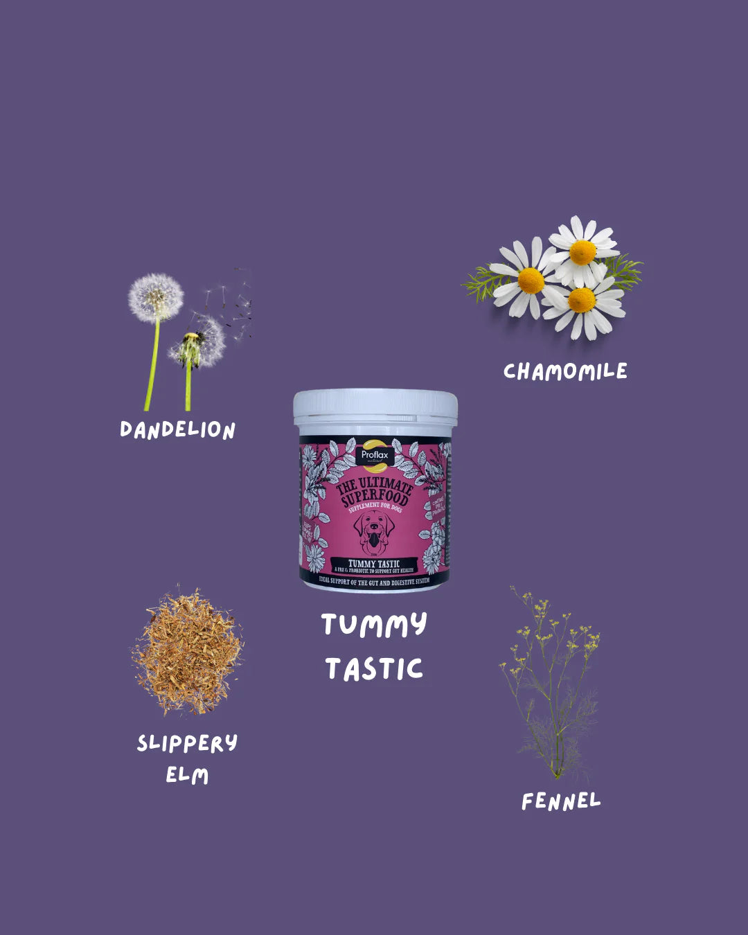 Proflax Tummy Tastic