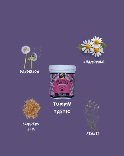 Proflax Tummy Tastic