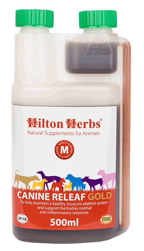 Hilton Herbs Canine Releaf Gold