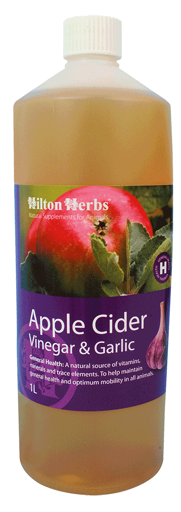 Hilton Herbs Cider Vinegar & Garlic