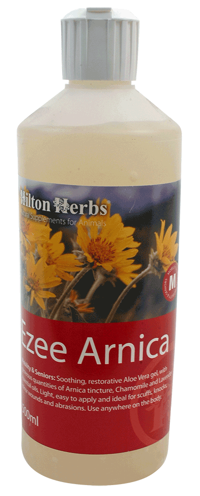 Hilton Herbs Ezee Arnica