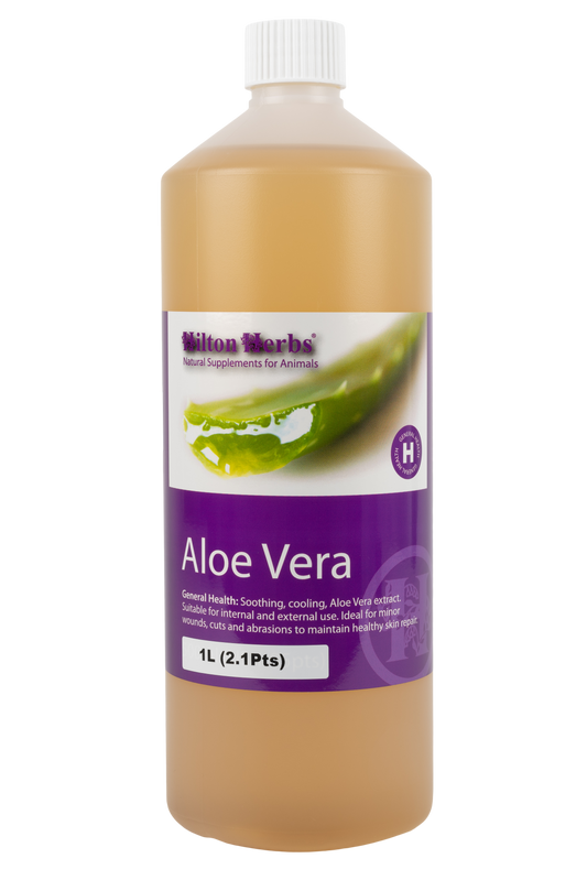 Hilton Herbs Aloe Vera