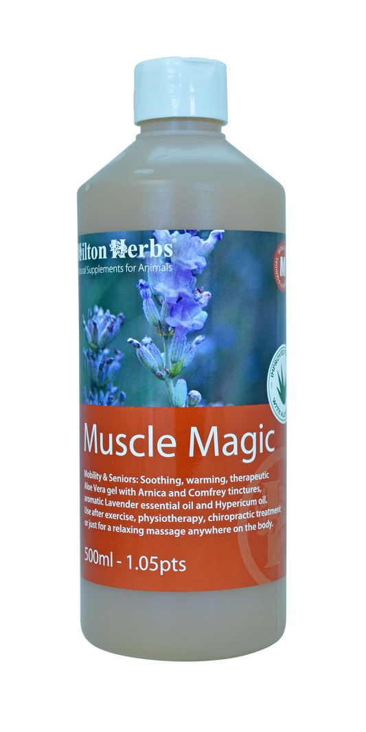 Hilton Herbs Muscle Magic