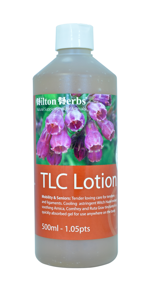 Hilton Herbs TLC Lotion