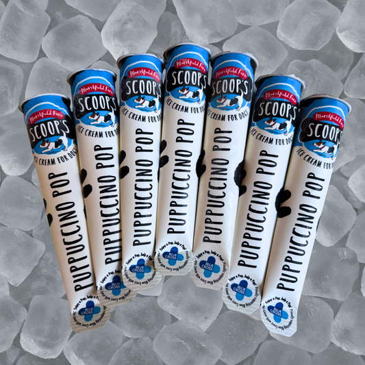 Scoops Puppuccino Dog Pop Ice Cream