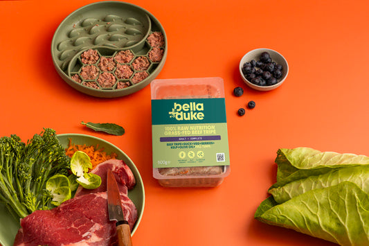 Bella & Duke Adult Complete Beef Tripe 500g