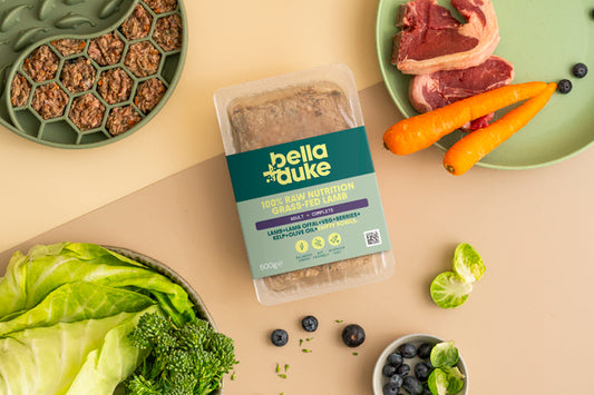 Bella & Duke Adult Complete Lamb 500g
