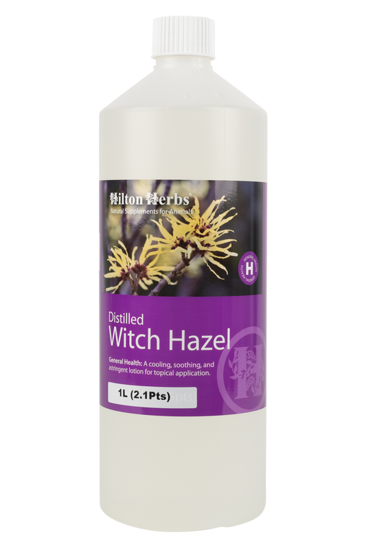 Hilton Herbs Witch Hazel