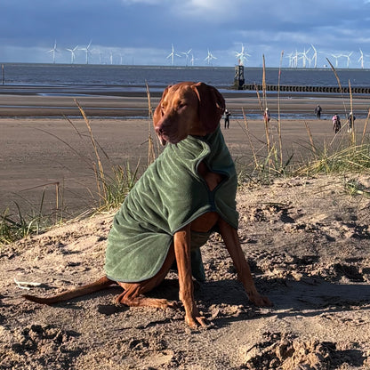 Stellar Pet Products Quick Drying Robe Chive