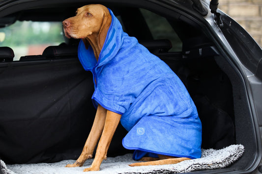 Stellar Pet Products Quick Drying Robe Cobalt