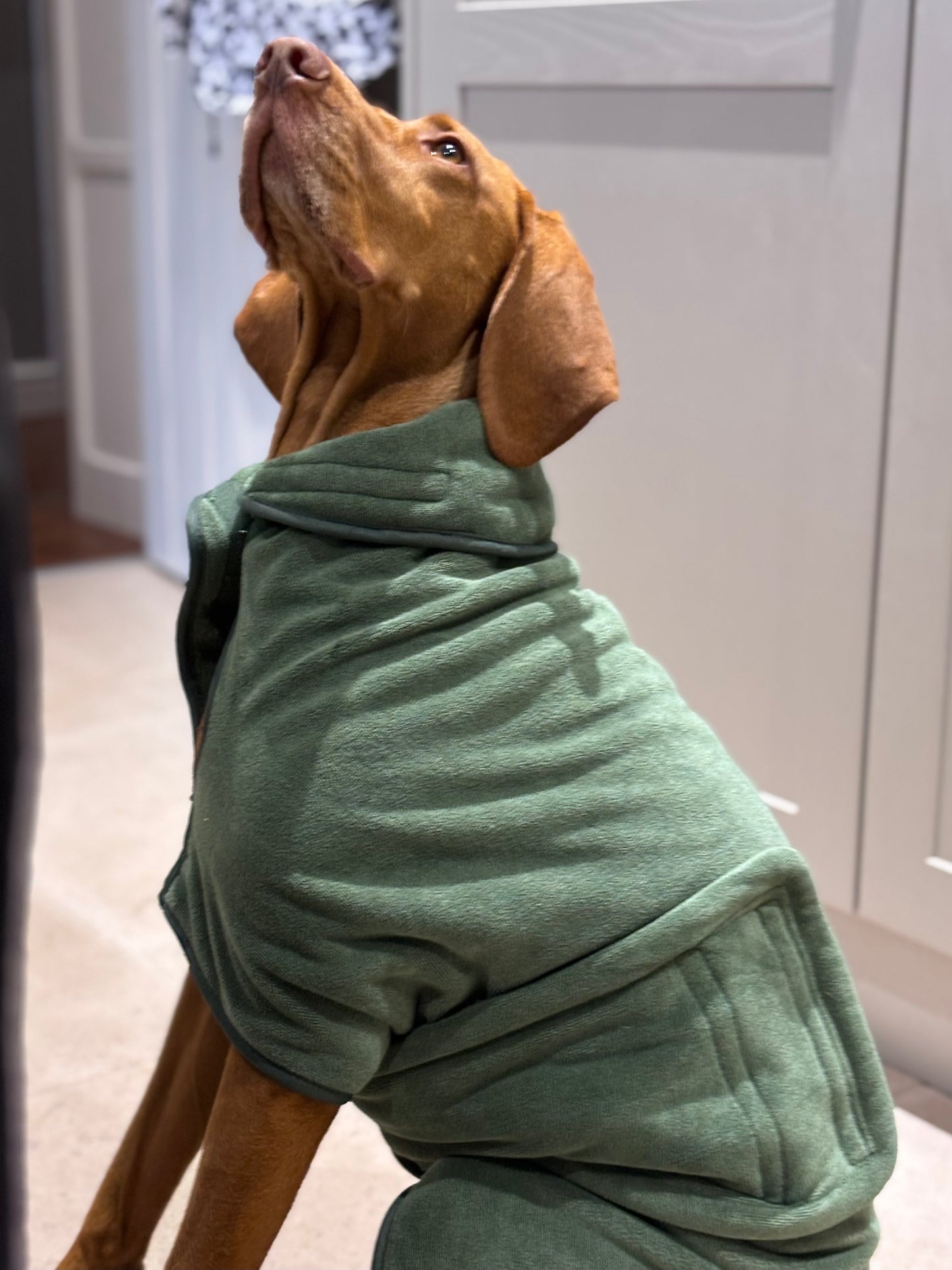 Stellar Pet Products Quick Drying Robe Chive