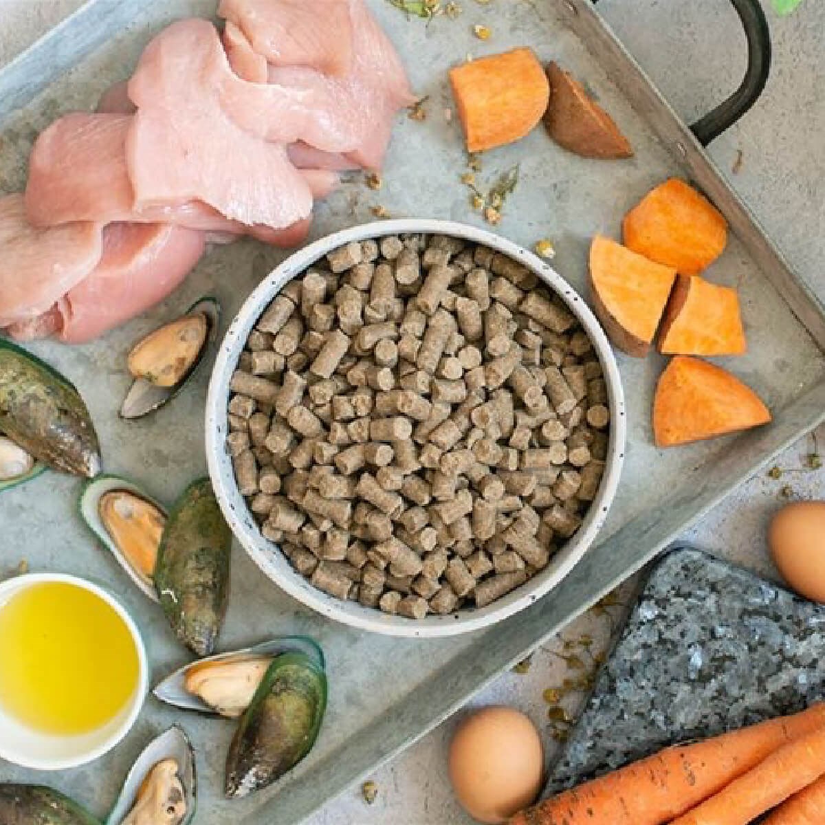 Tribal Adult Cold Pressed Salmon Small Breed