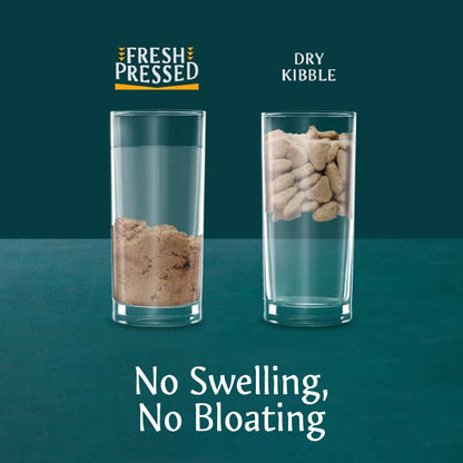Tribal Adult Cold Pressed Salmon Small Breed