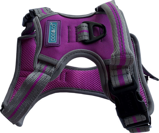 Hemmo & Co Sports Harness - Purple