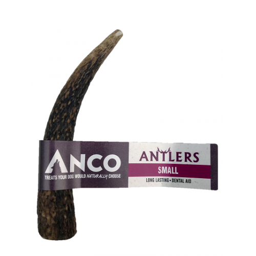 Anco Antlers