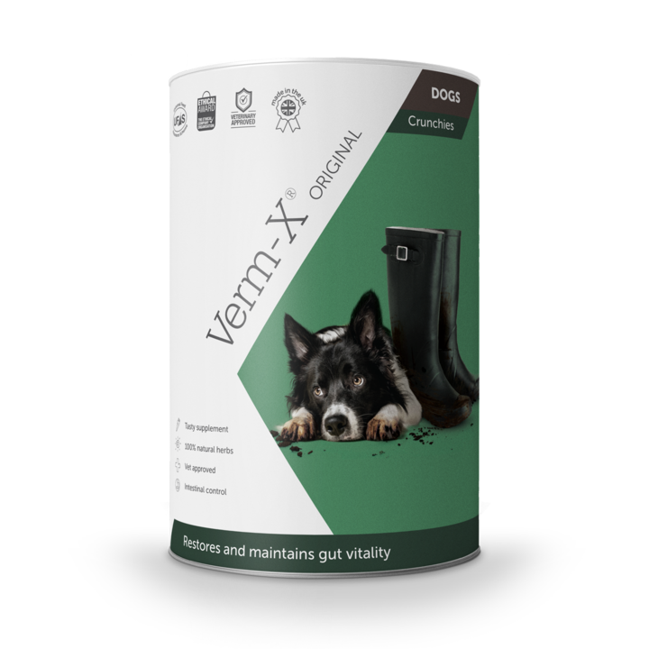 Verm-X Original Treats For Dogs 100g