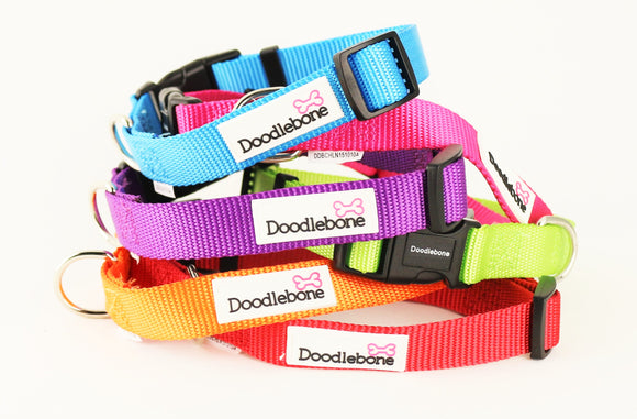 Doodlebone Bold Collar