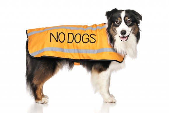 Dexil Friendly Dog Collars Coat - No Dogs