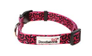 Doodlebone Originals Pattern Collar - Bright Leopard