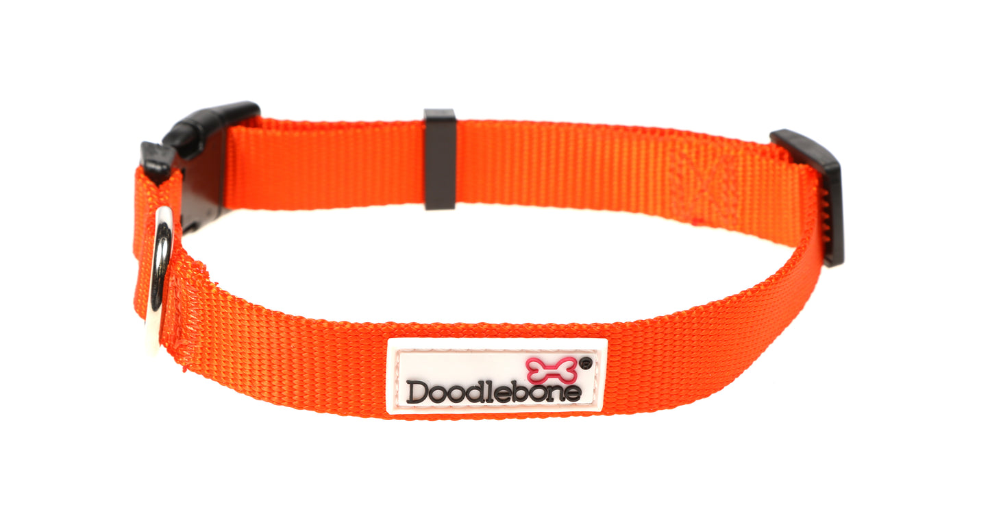 Doodlebone Originals Collar - Tangerine