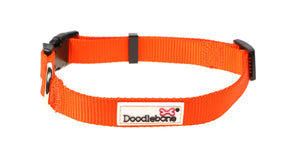 Doodlebone Originals Collar - Tangerine