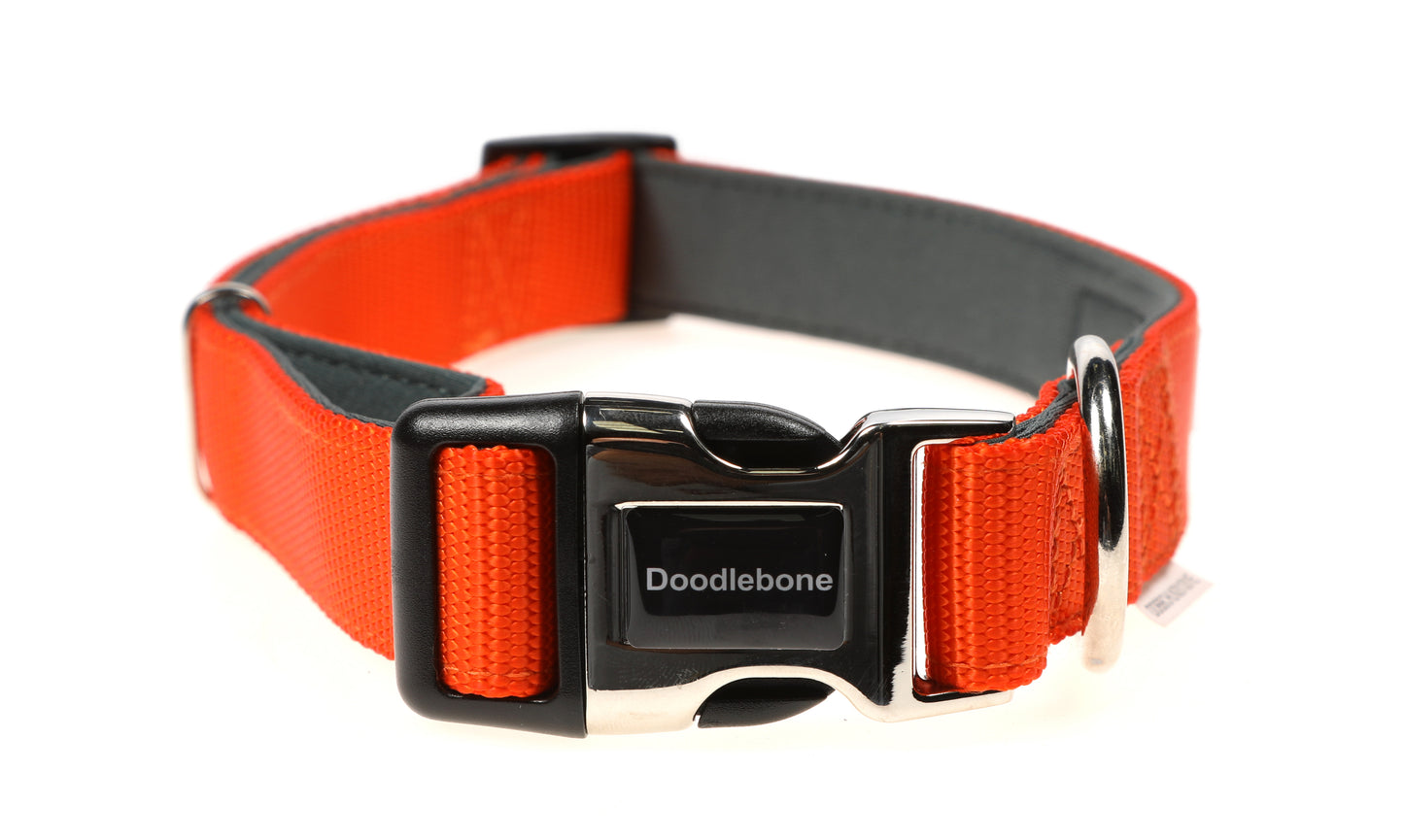 Doodlebone Originals Padded Collar - Tangerine