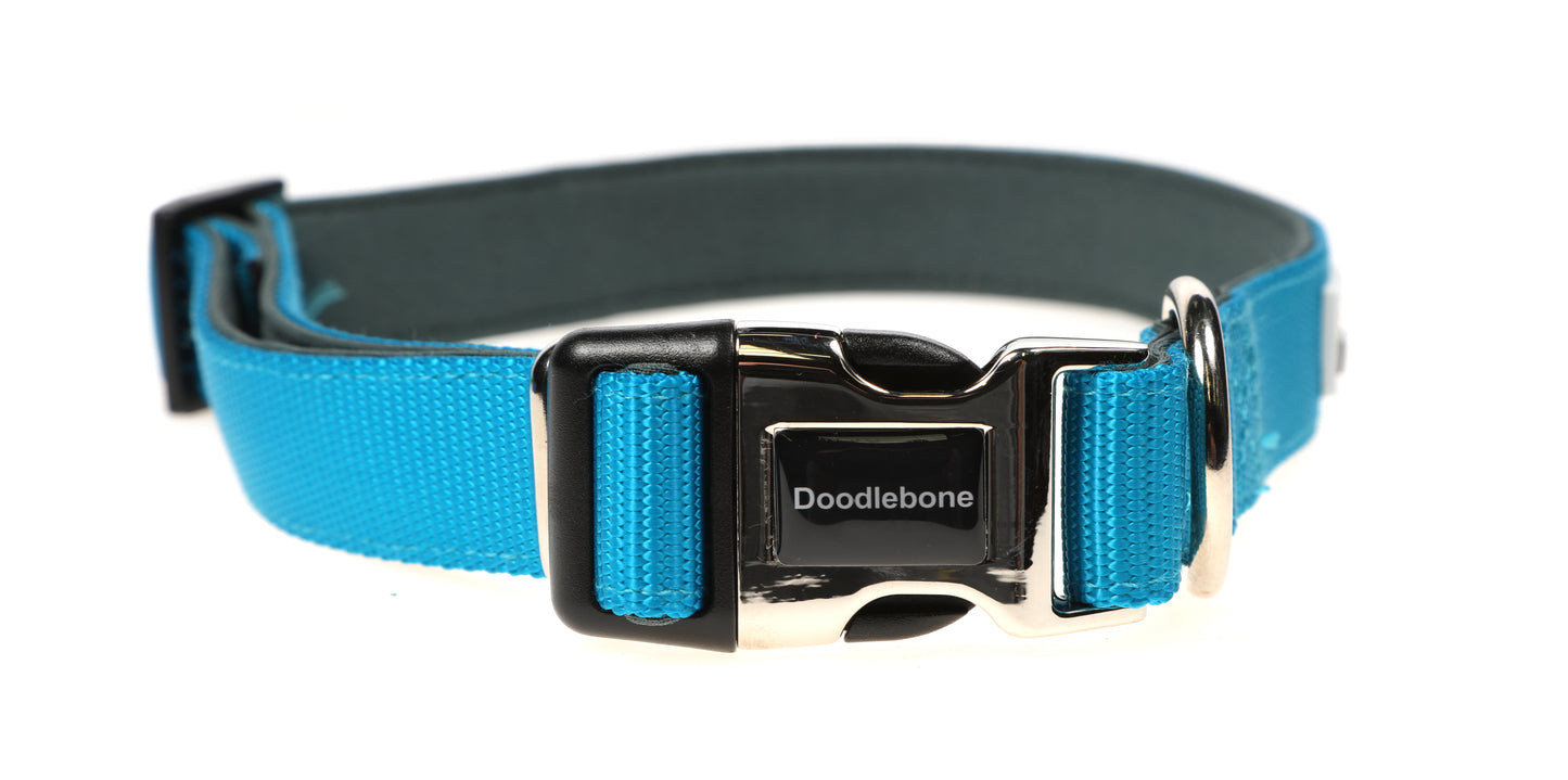 Doodlebone Originals Padded Collar - Aqua