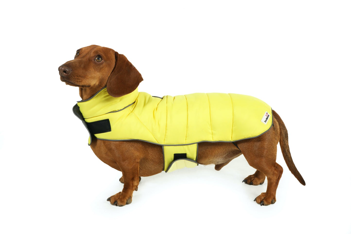 Doodlebone Puffer Jacket 7-10 (Long) Lemon/Smoke