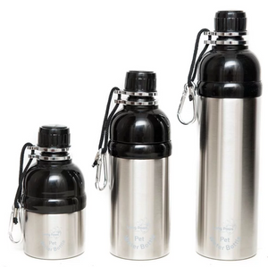 Long Paws Water Bottle - Silver