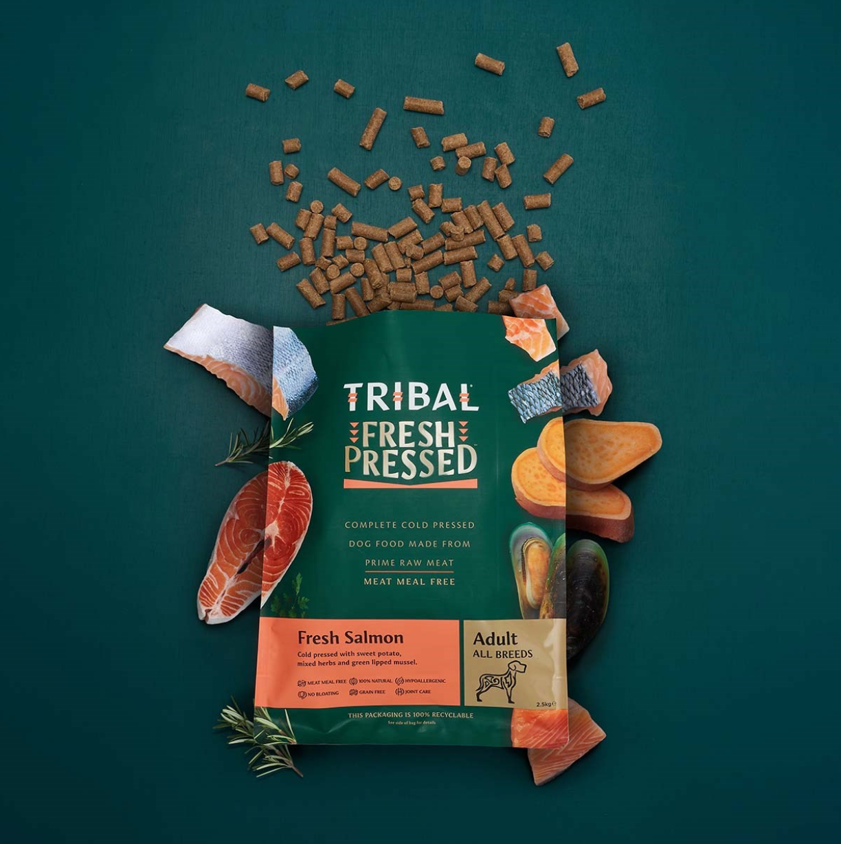 Tribal Grain Free Cold Pressed Adult Salmon