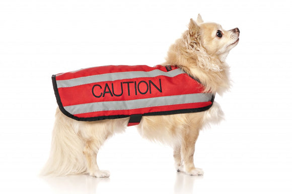 Dexil Friendly Dog Collars Coat - Caution