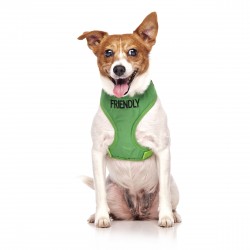 Dexil Friendly Dog Collars Vest Harness - Friendly