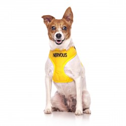 Dexil Friendly Dog Collars Vest Harness - Nervous