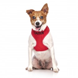 Dexil Friendly Dog Collars Vest Harness - Caution