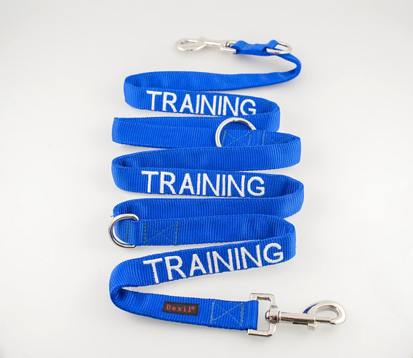 Dexil Friendly Dog Collars - Training Lead