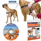 Ancol Harness and Lead Set with DVD Medium