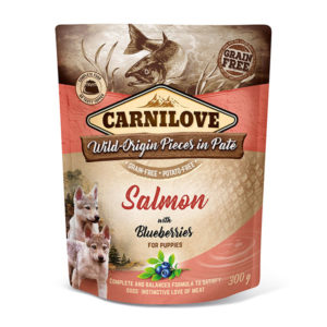 Carnilove Puppy Salmon with Blueberries (Wet Pouch) 12x300g