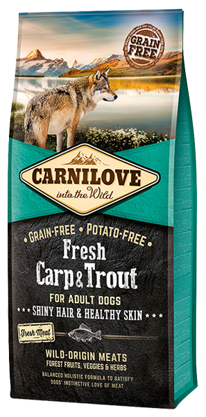 Carp dog online