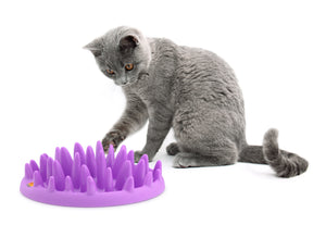 Interactive Slow Feeder for Cats
