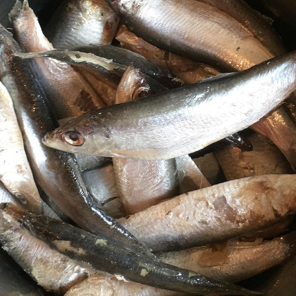 Nutriment Whole Frozen Sprats