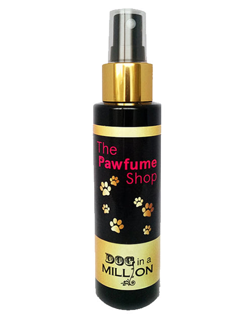 The Pawfume Shop - Dog in a Million (male)