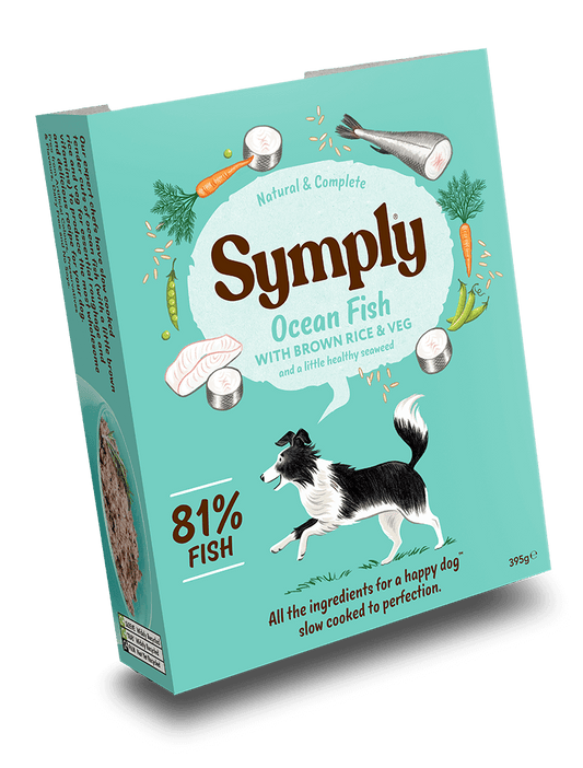 Symply Tray Adult - Ocean Fish